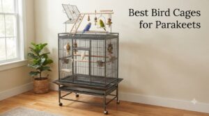 Best Bird Cages for Parakeets