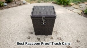 Best Raccoon Proof Trash Cans
