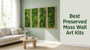 Best Preserved Moss Wall Art Kits