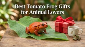 Best Tomato Frog Gifts for Animal Lovers