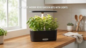 Best Indoor Herb Garden Kits with Lights