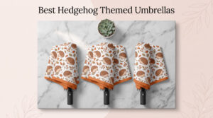 Best Hedgehog Themed Umbrellas