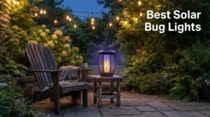 Best Solar Bug Lights