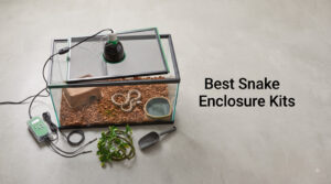 Best Snake Enclosure Kits