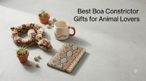 Best Boa Constrictor Gifts for Animal Lovers