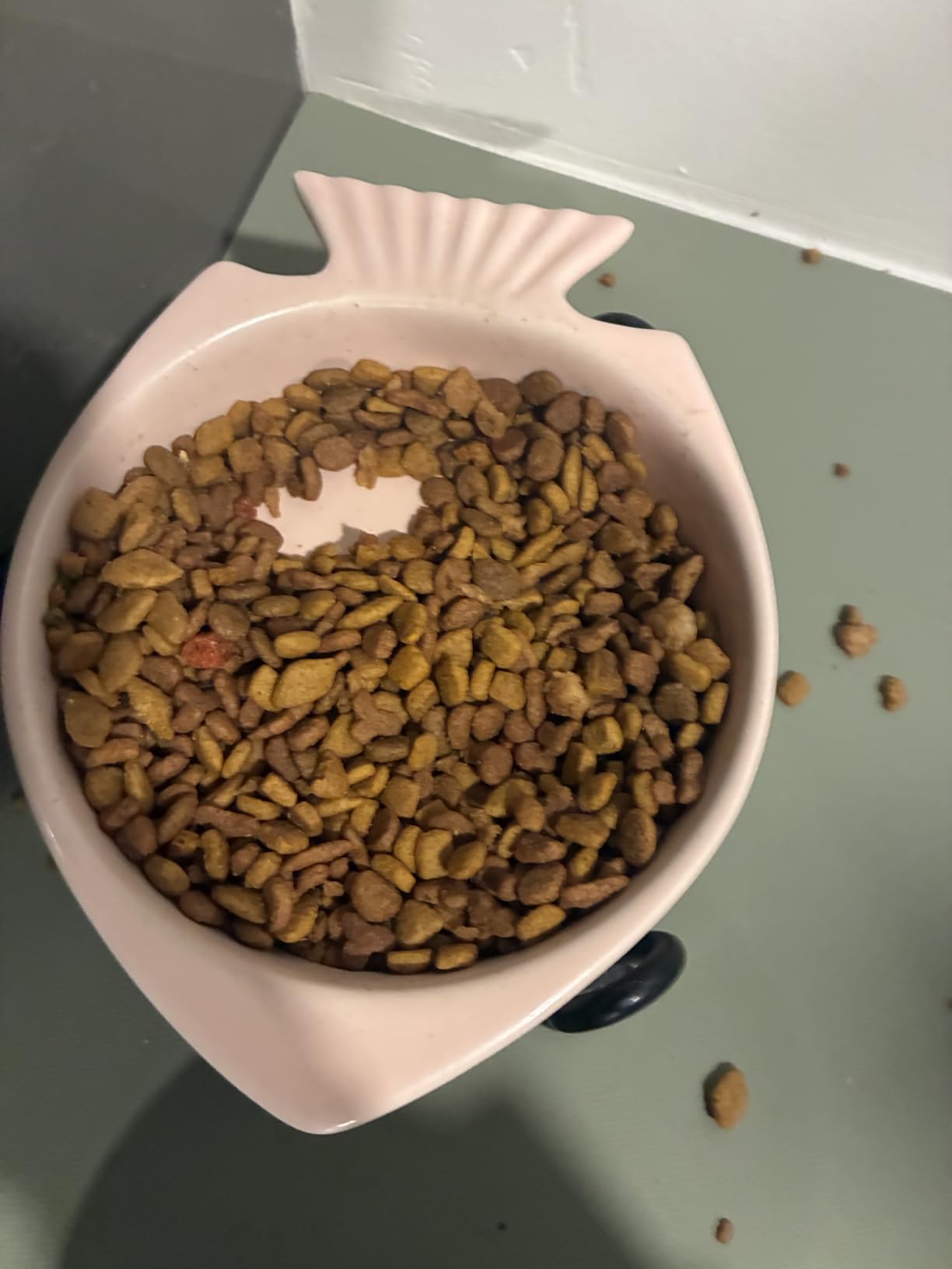 Purina ONE +Plus Sensitive Stomach Sensitive Skin, Natural Dry Cat Food customer photo 2