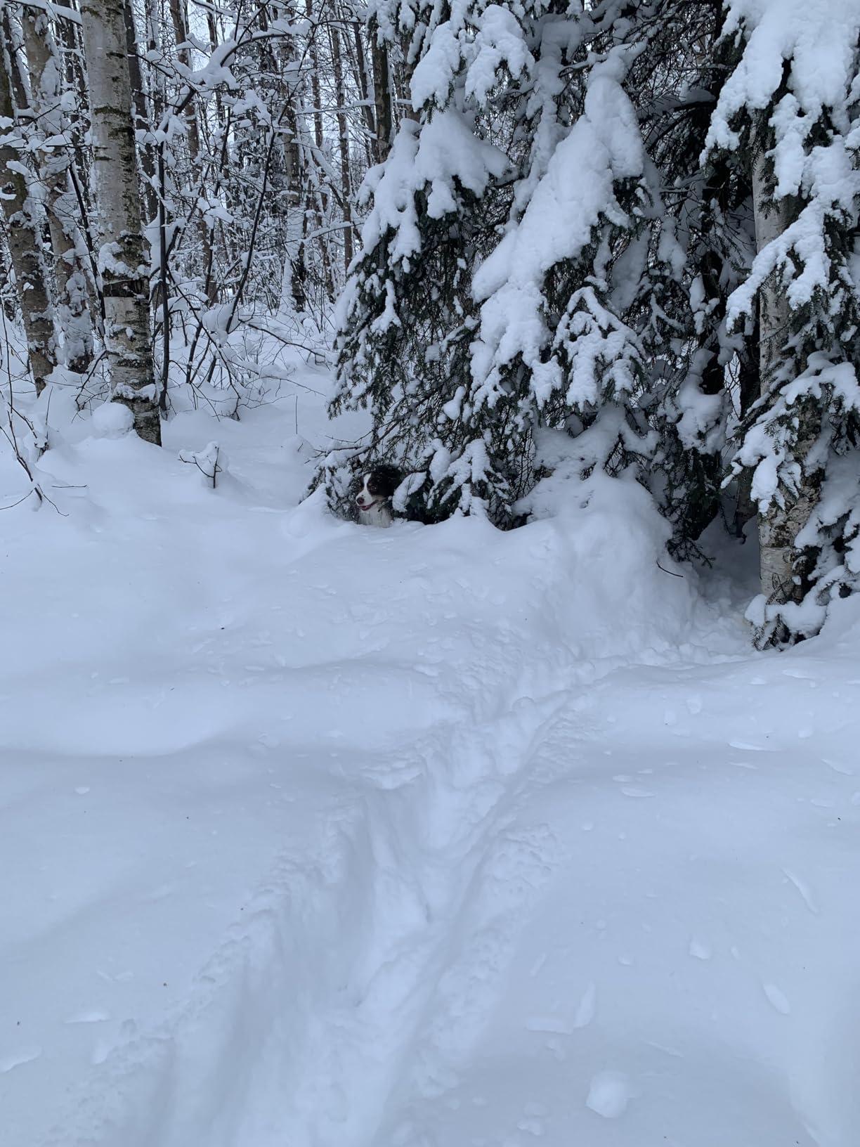 Baffin Men's Control Max Snow Boot customer photo 1