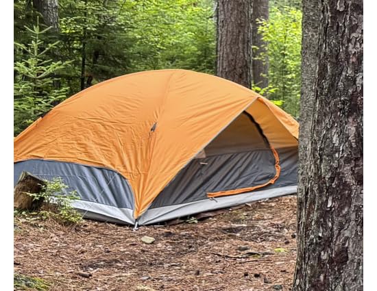 Amazon Basics Camping Tent, 3-Season Dome Design with Rainfly customer photo 1