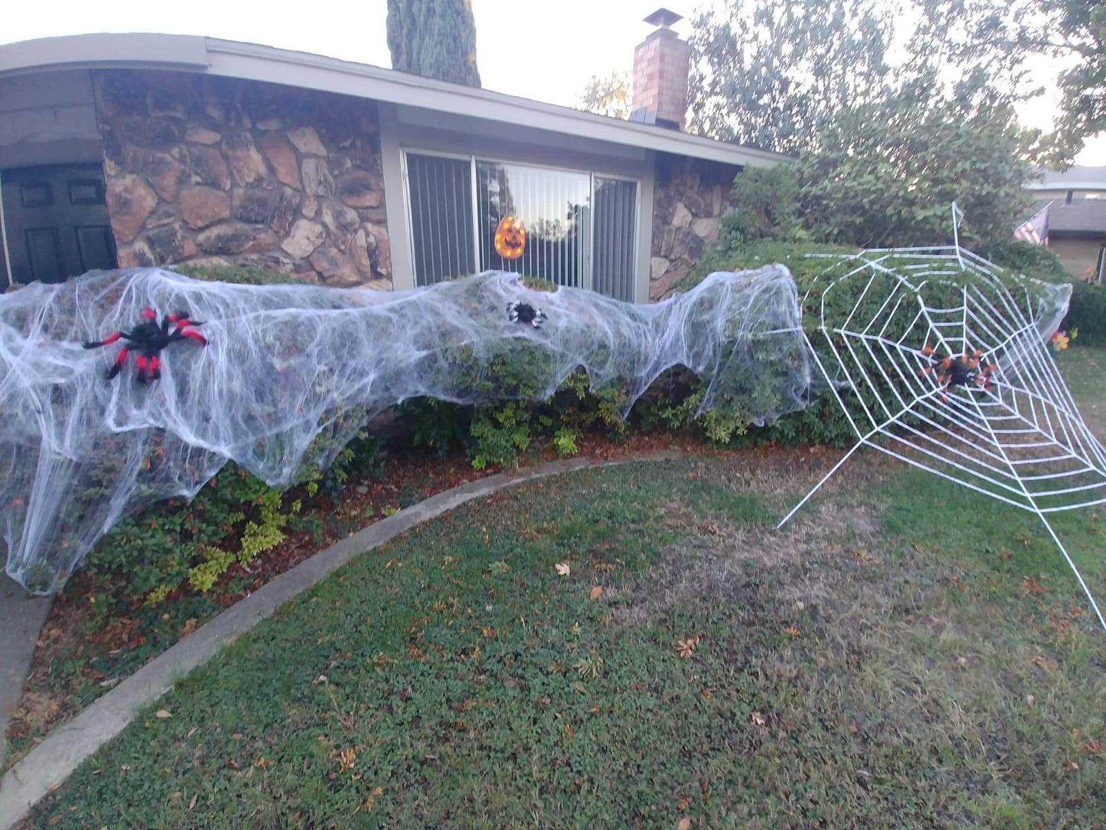 1000 sqft Spider Webs Halloween Decorations with 30 Fake Spiders customer photo 1