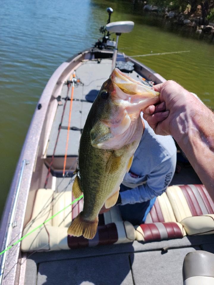 Haswing Bow Mount Trolling Motor 80lbs 54in - Remote & Foot, Quick Release customer photo 1