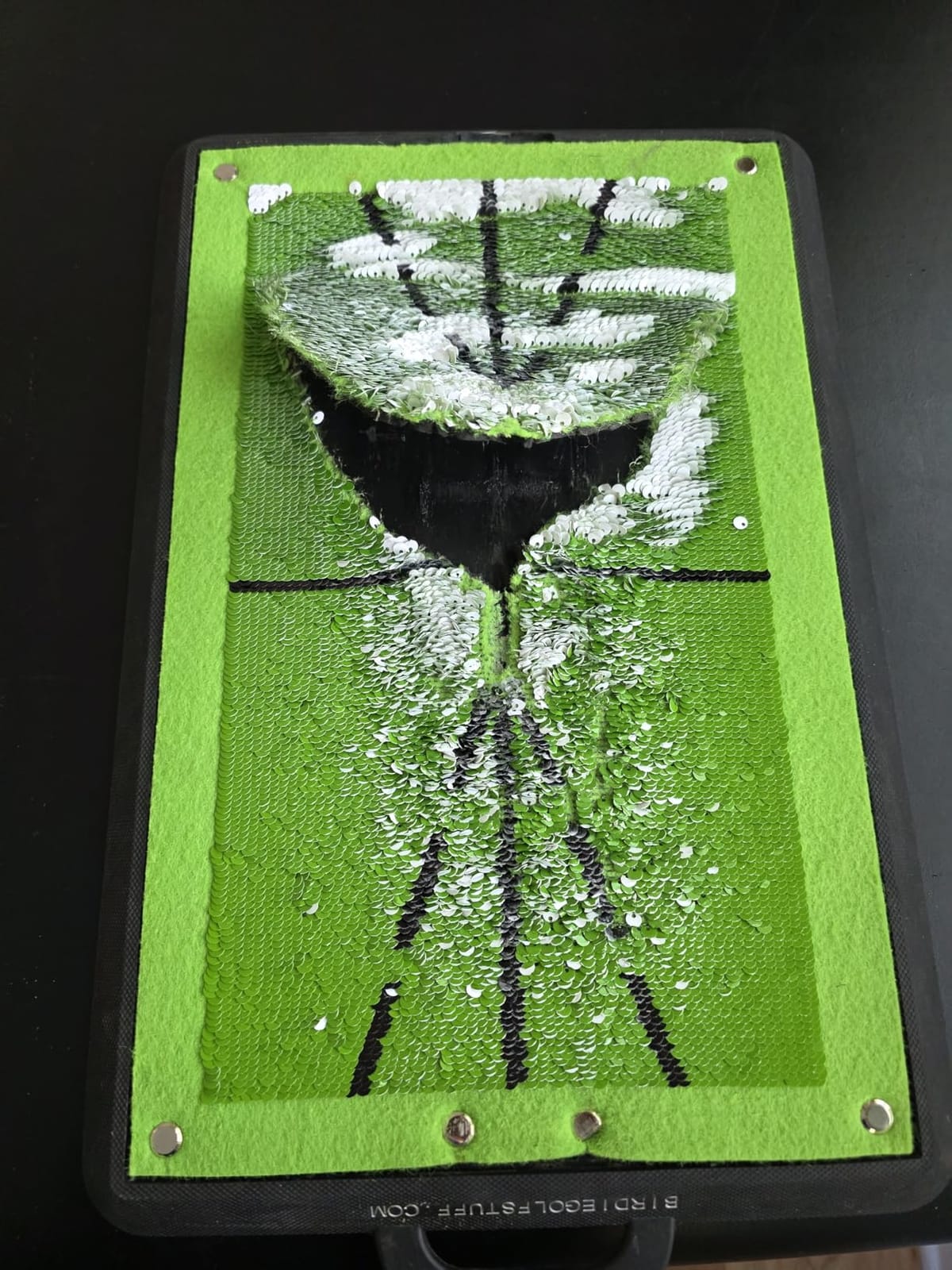Birdie Golf Swing Training Mat - Sequin Tech, Analyzes Swing Path, Portable customer photo 1