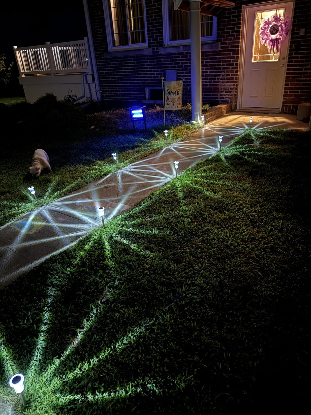 DenicMic Solar Halloween Lights Outdoor Waterproof 10 Pack Halloween Decor customer photo 2