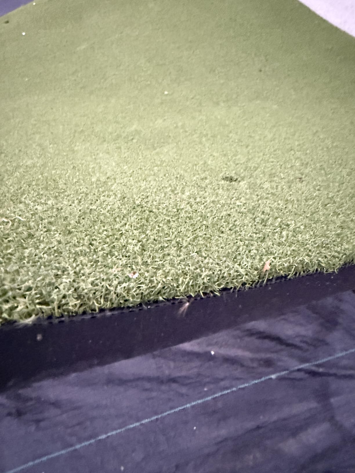 Bltend Golf Mat 36mm: 5x4ft/6x4ft Golf Hitting Mat Practice Outdoor Indoor customer photo 1