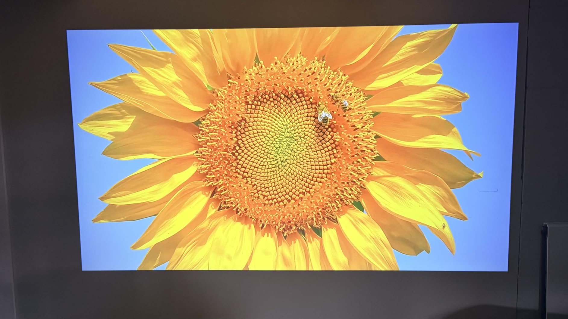HAPPRUN 2000 ANSI 4K Decoding Projector with WiFi and Bluetooth, Auto Focus customer photo 2