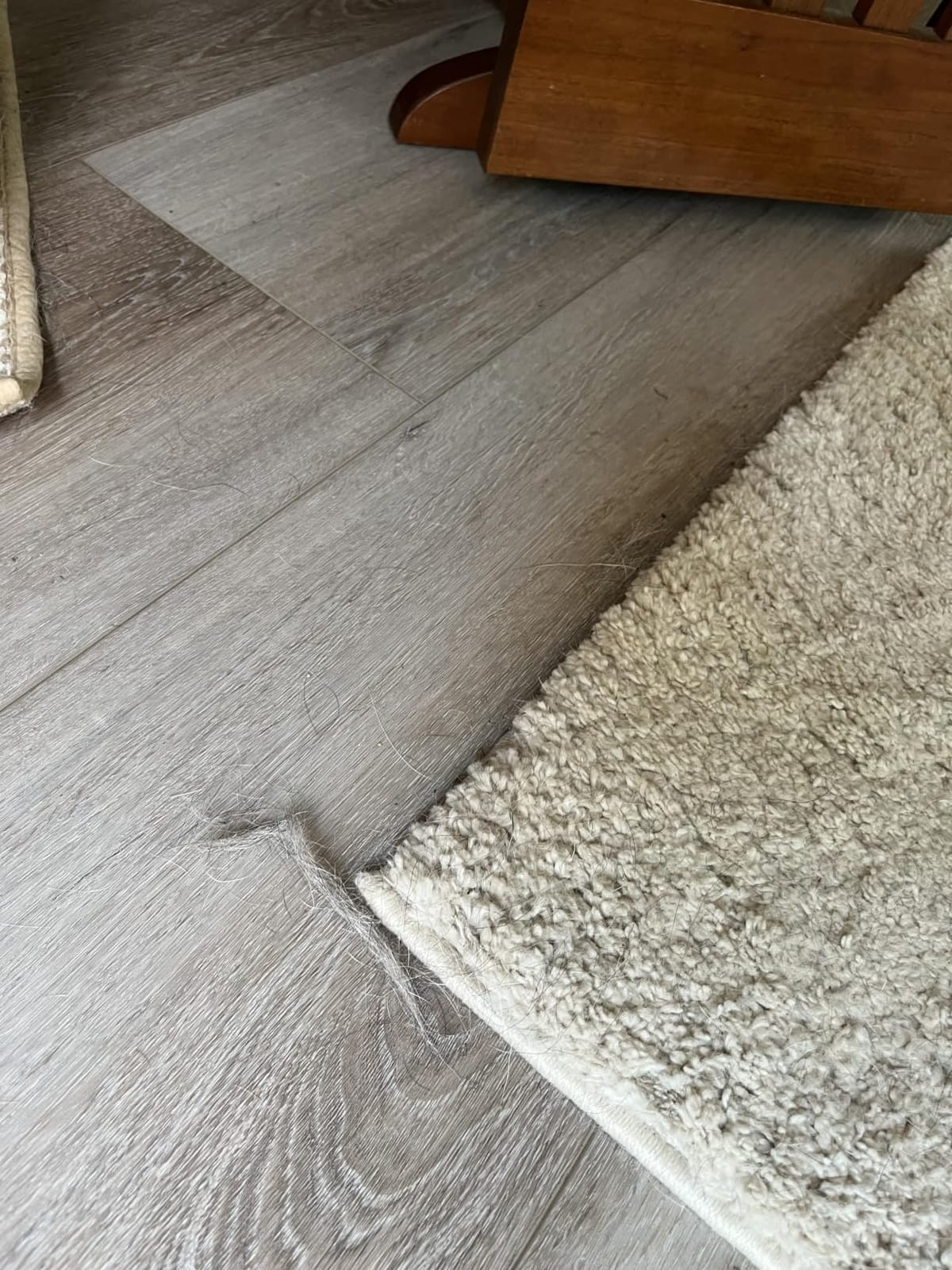 roborock Qrevo Series Robot Vacuum and Mop, Upgraded from Qrevo S customer photo 1