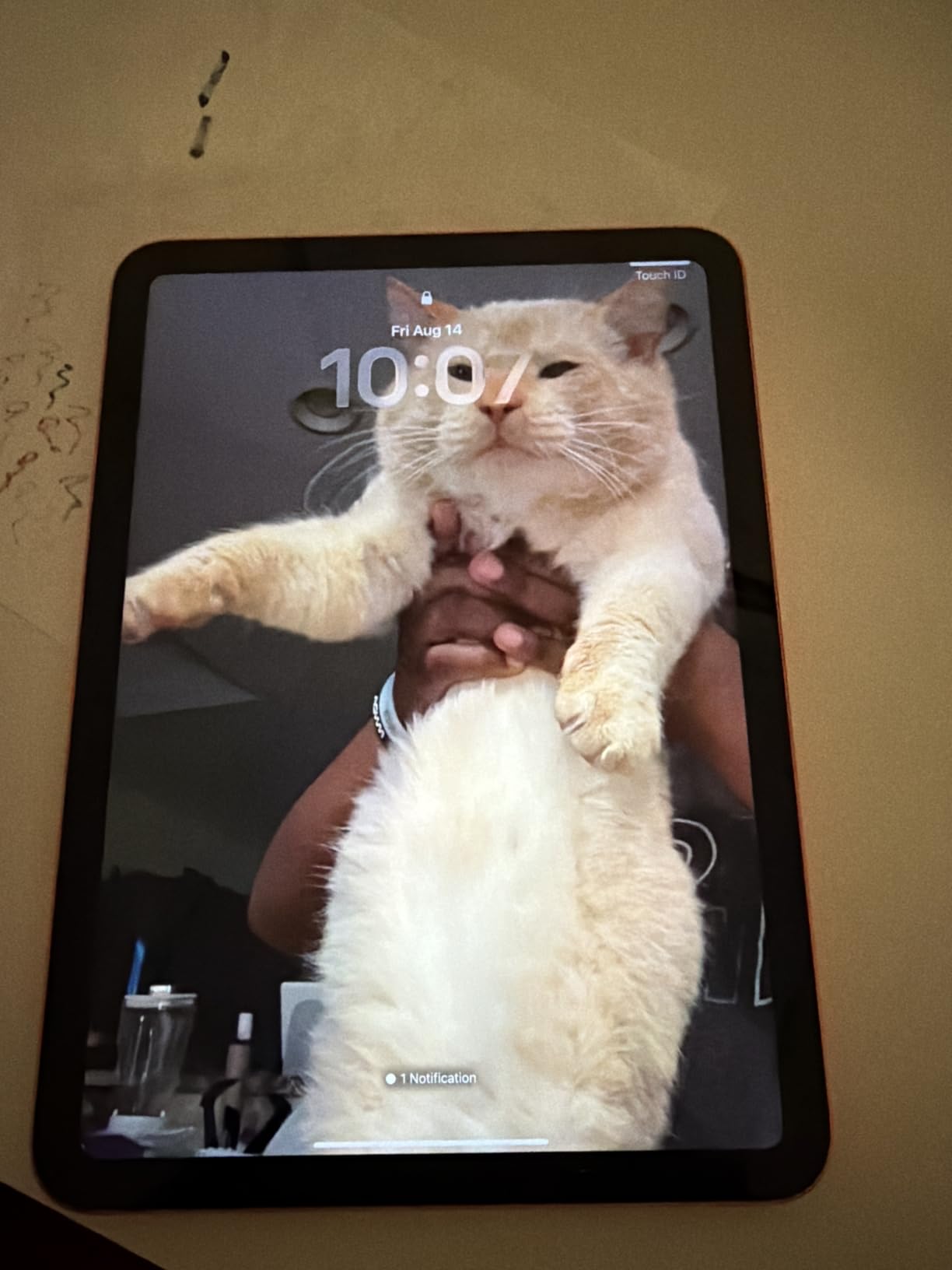 Apple iPad 11-inch: A16 chip, 11-inch Model, Liquid Retina Display, 128GB, Wi-Fi 6, 12MP Front/12MP Back Camera, Touch ID, All-Day Battery Life — Yellow customer photo 2