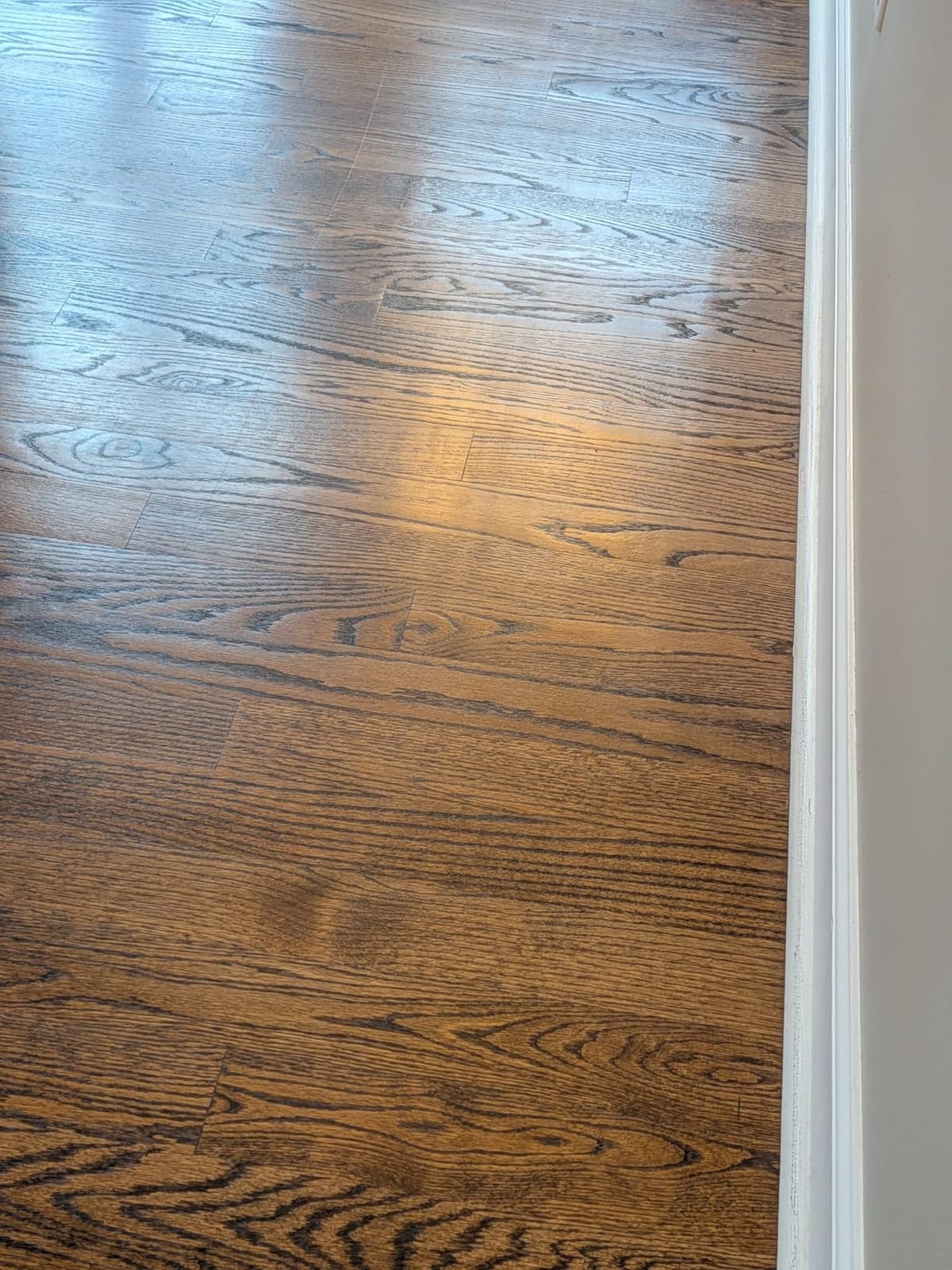 roborock Qrevo Curv 2 Flow 2026 New Robot Vacuum and Mop, 20,000 Pa, SpiraFlow Real-Time Self-Cleaning Roller Mop, Dual Zero-Tangle, AI Obstacle Avoidance, Heat-Washes & Dries Mop, Carpet Protection customer photo 1