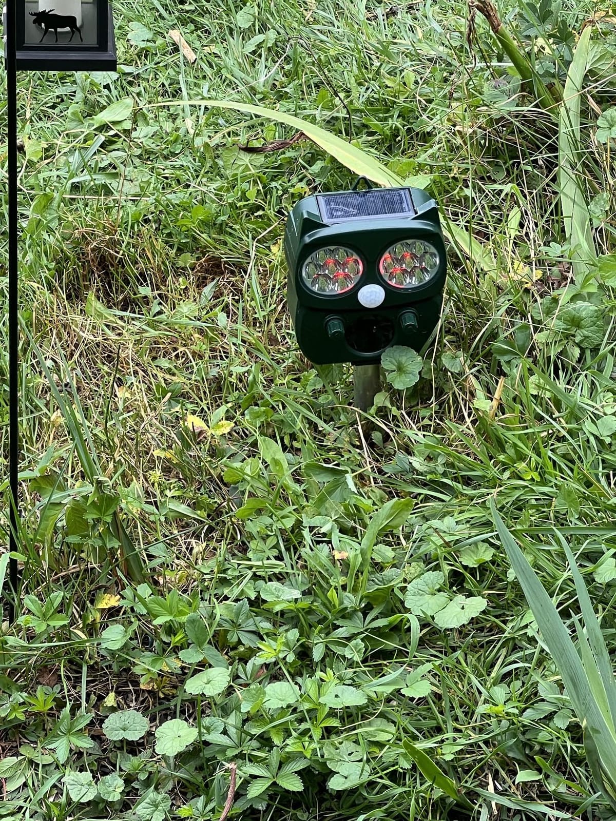 Solar Animal Repeller, Ultrasonic Repellent, Motion Detection, LED Flashing Light, Dog, Cat Repellent, Squirrel, Raccoon, Skunk, Rabbit, Rodent, Fox, Deer, etc. customer photo 2