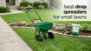 best drop spreaders for small lawns