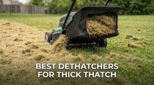 best dethatchers for thick thatch