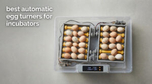 best automatic egg turners for incubators