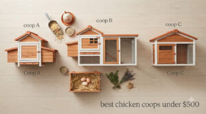 best chicken coops under $500