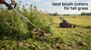 best brush cutters for tall grass
