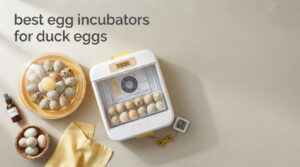 best egg incubators for duck eggs