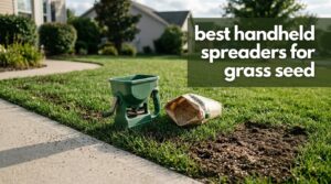 best handheld spreaders for grass seed